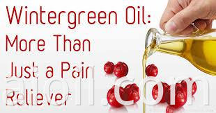 wintergreen oil 